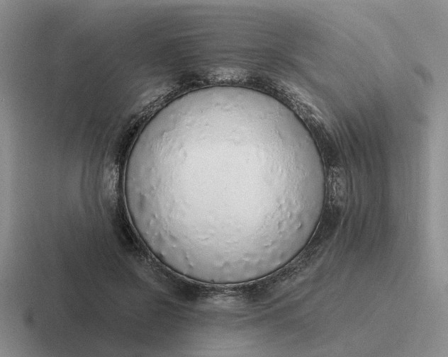 X0000116860550201001051427