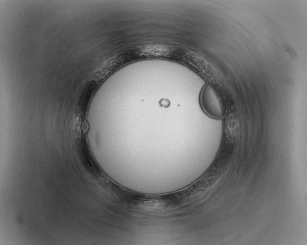 X0000116860551201001051427