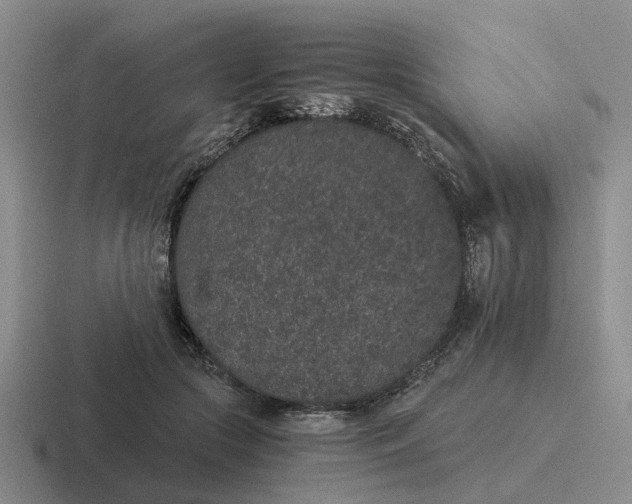 X0000116860553201001051427