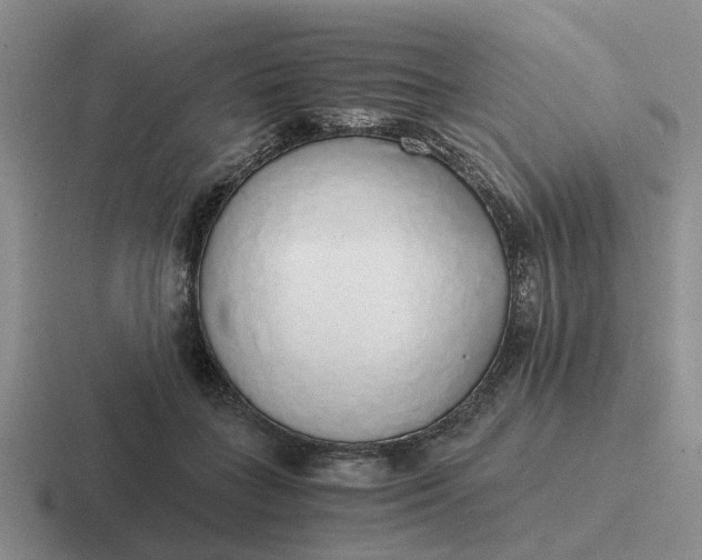 X0000116860555201001051427