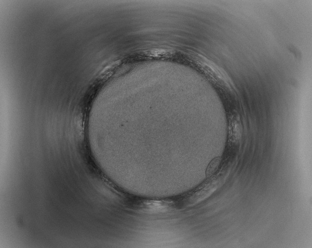 X0000116860558201001051427