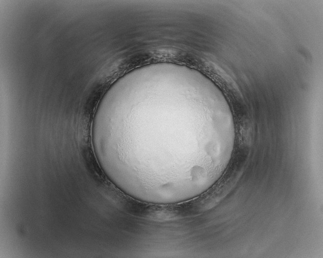 X0000116860561201001051427