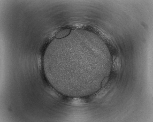 X0000116860562201001051427