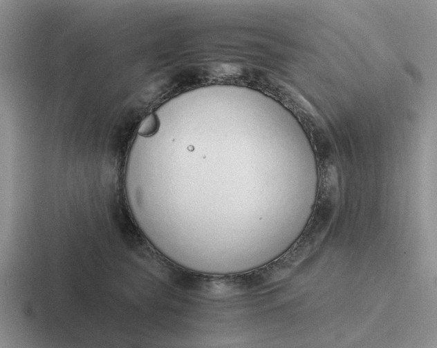 X0000116860565201001051427