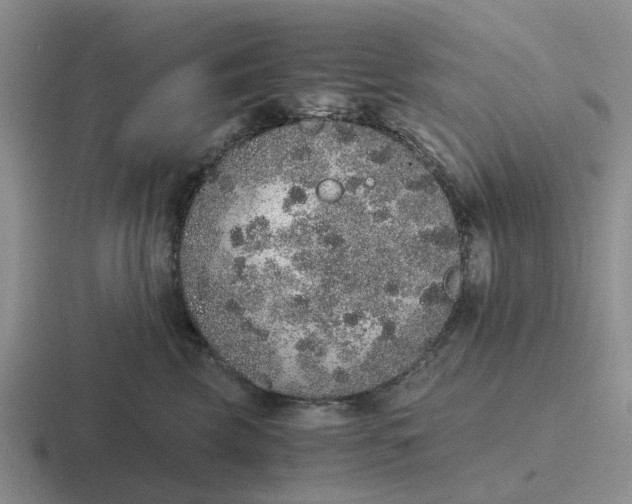 X0000116860569201001051427