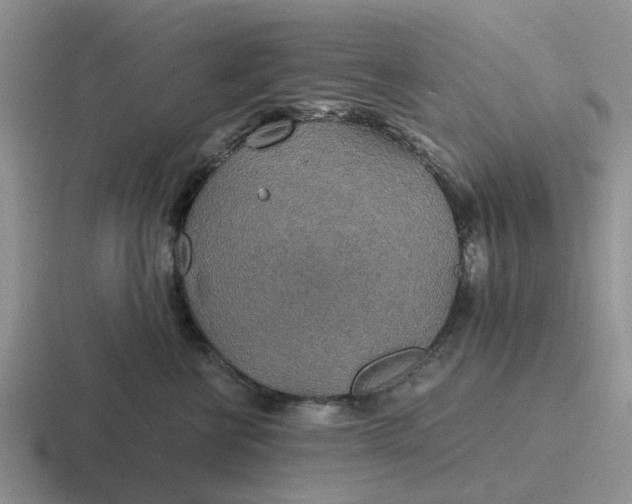 X0000116860570201001051427