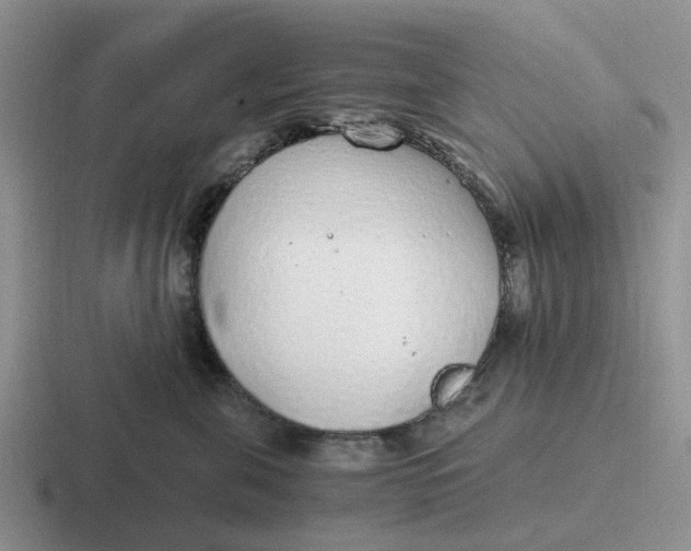 X0000116860571201001051427