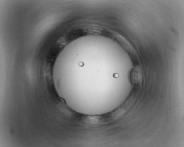 X0000116860573201001051427