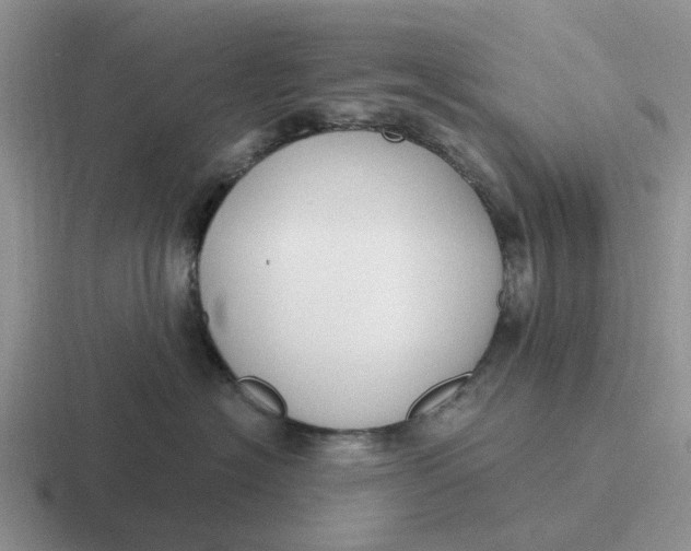 X0000116860574201001051427