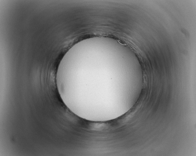 X0000116860575201001051427