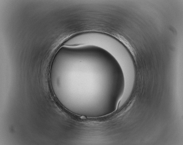 X0000116860577201001051426