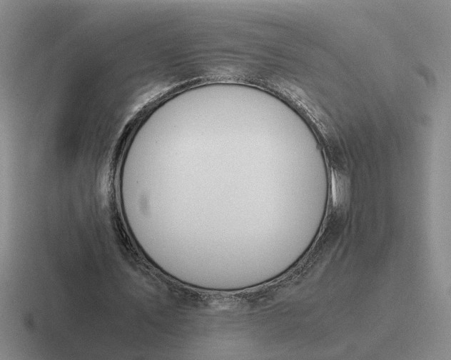 X0000116860579201001051426