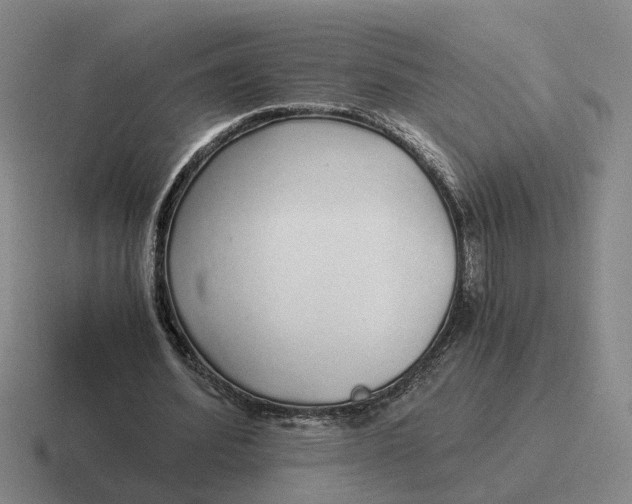 X0000116860580201001051426