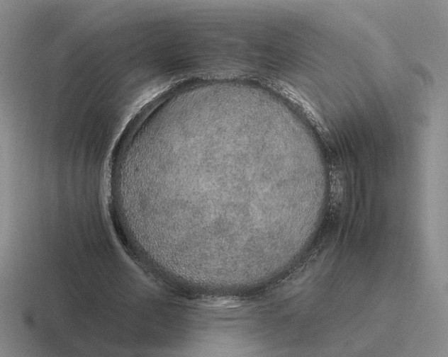 X0000116860582201001051426