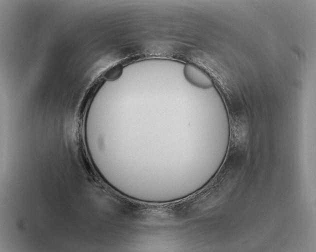 X0000116860583201001051426