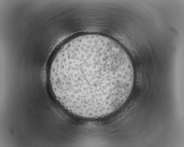 X0000116860584201001051426