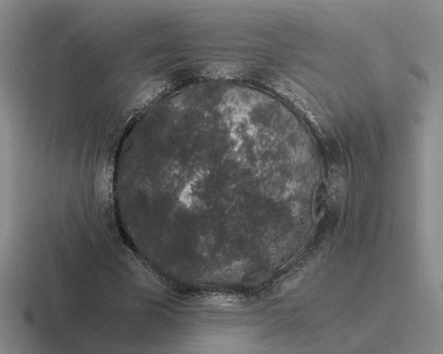 X0000116860585201001051426