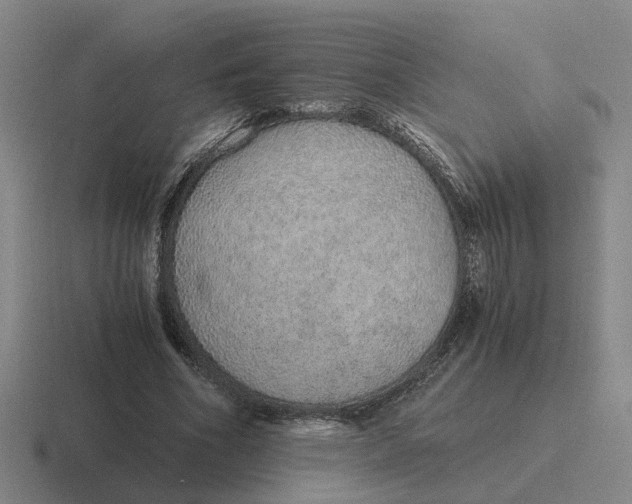 X0000116860586201001051426