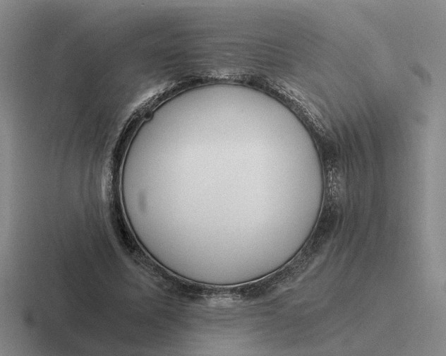 X0000116860587201001051426