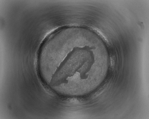 X0000116860588201001051426