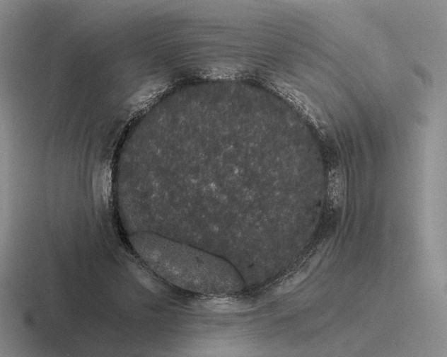 X0000116860589201001051426