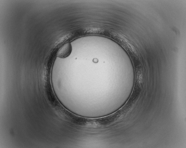 X0000116860591201001051426