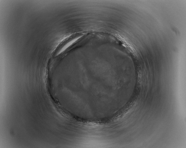 X0000116860592201001051426