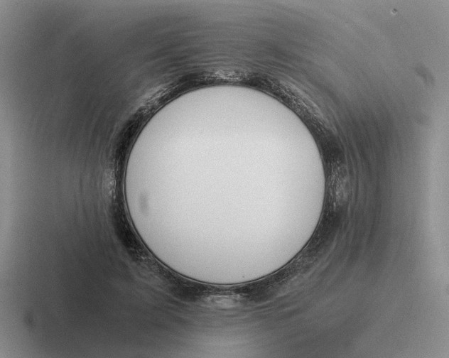 X0000116860595201001051426