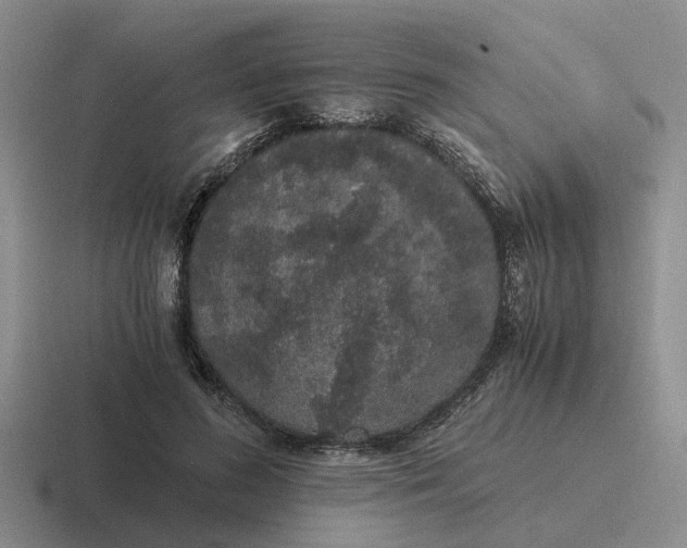 X0000116860596201001051426