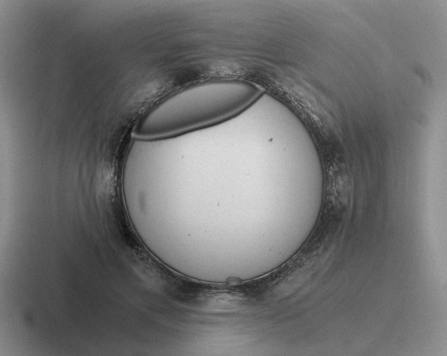 X0000116860597201001051426