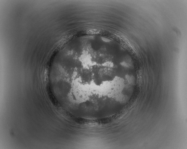 X0000116860598201001051426