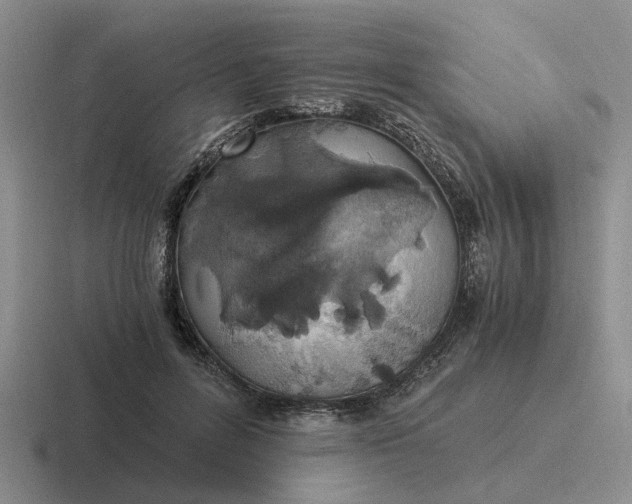 X0000116860600201001051426