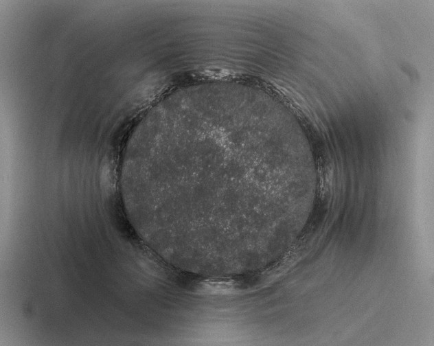 X0000116860606201001051426