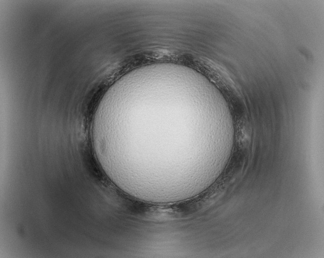 X0000116860607201001051426