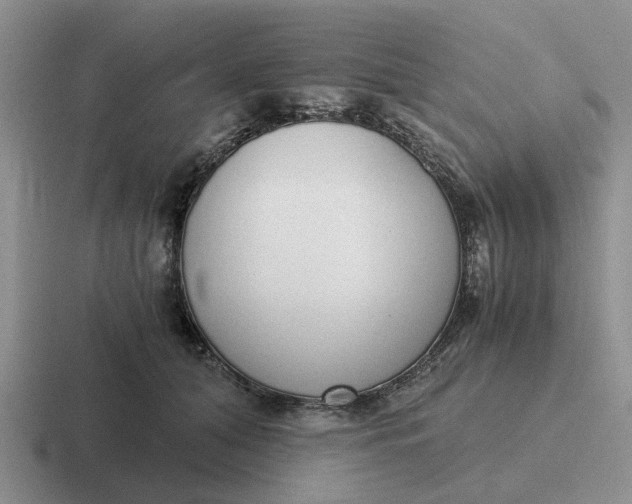 X0000116860608201001051426