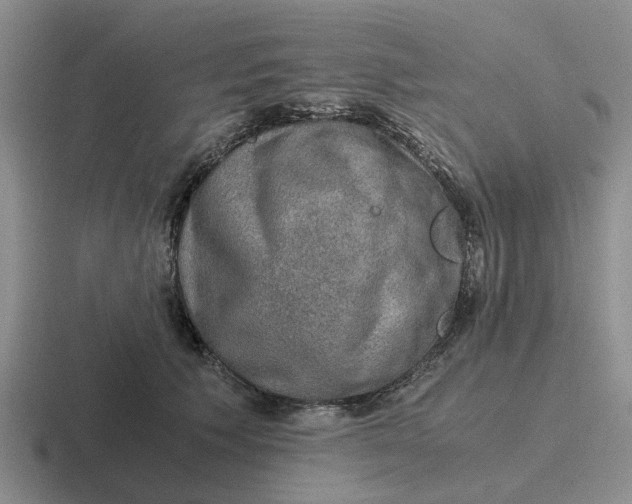 X0000116860609201001051426