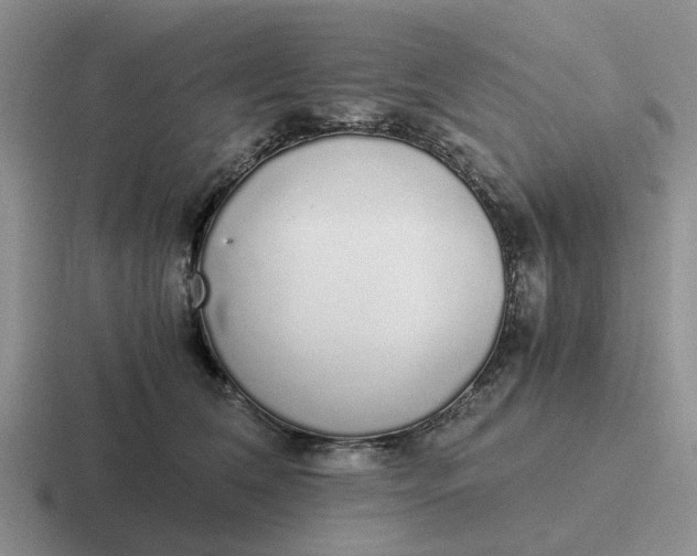 X0000116860612201001051426