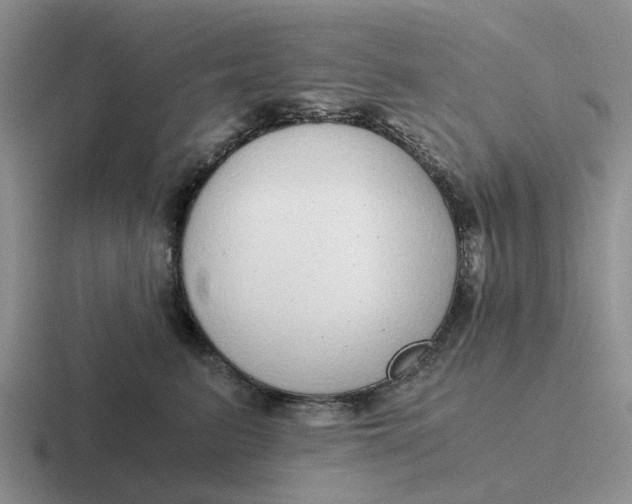 X0000116860615201001051426