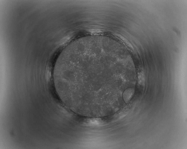 X0000116860618201001051426