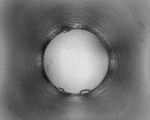 X0000116860620201001051426