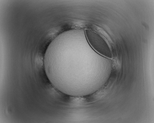 X0000116860621201001051426