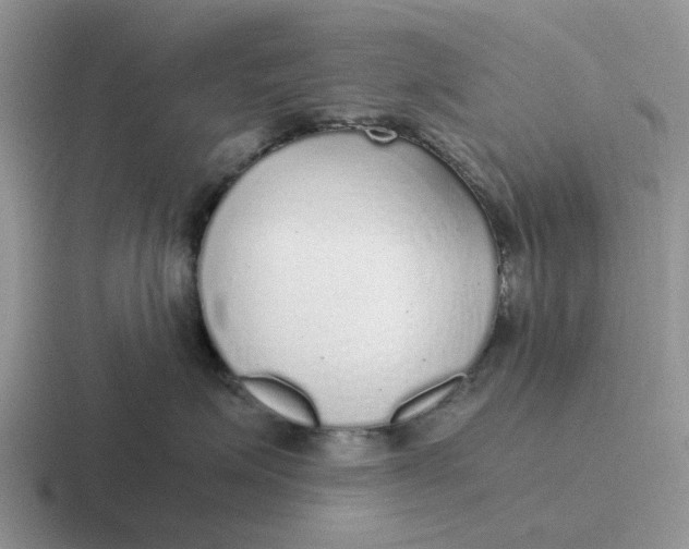 X0000116860623201001051426