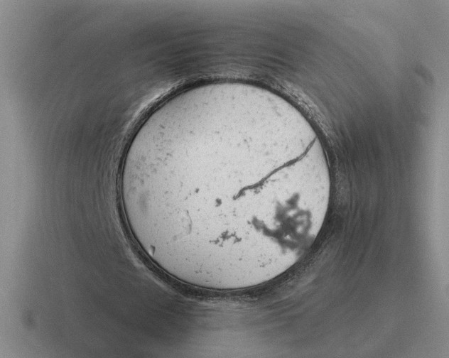 X0000116860625201001051425