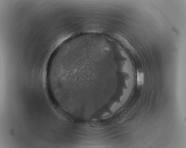 X0000116860627201001051425