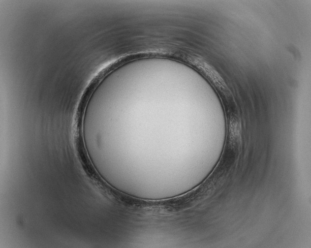 X0000116860628201001051425