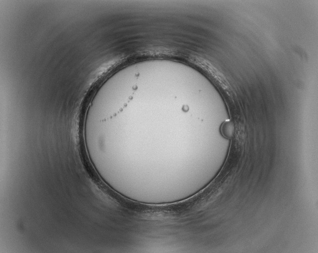 X0000116860629201001051425