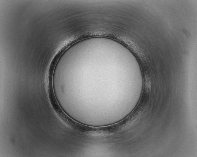 X0000116860630201001051425