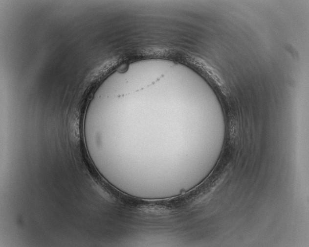 X0000116860633201001051425