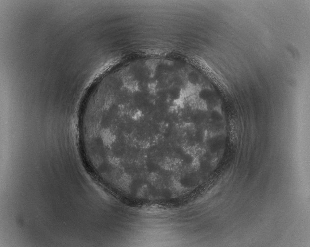 X0000116860634201001051425