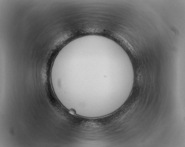 X0000116860635201001051425